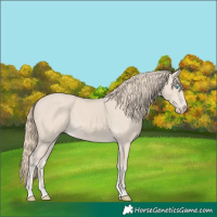 Horse Color:Smoky Creme
