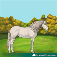 Horse Color:Smoky Creme 