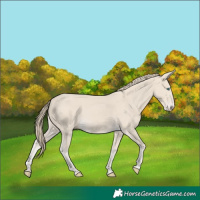 Horse Color:Smoky Creme 