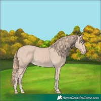 Horse Color:Smoky Creme