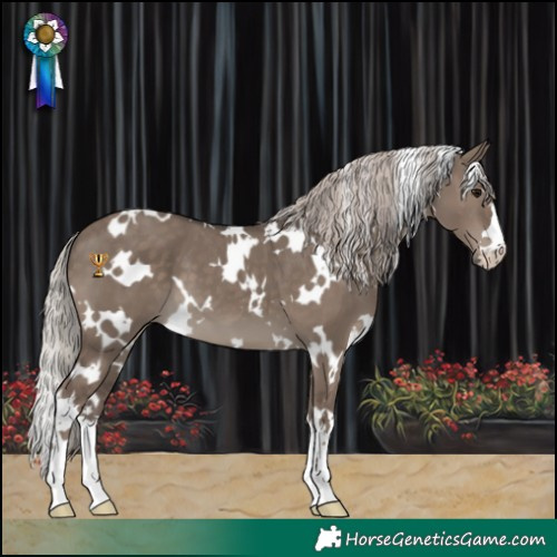 Horse Color:White Spotted Silver Grullo 