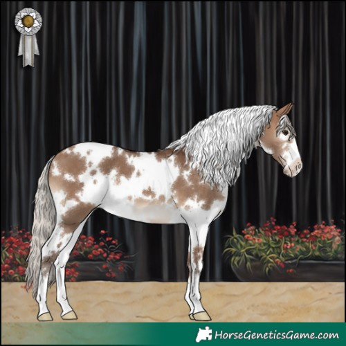 Horse Color:White Spotted Silver Brown Dun 