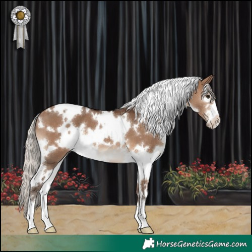 Horse Color:White Spotted Silver Brown Dun 