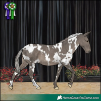 Horse Color:White Spotted Silver Black 