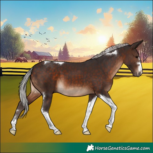 Horse Color:Silver Brown Tobiano 