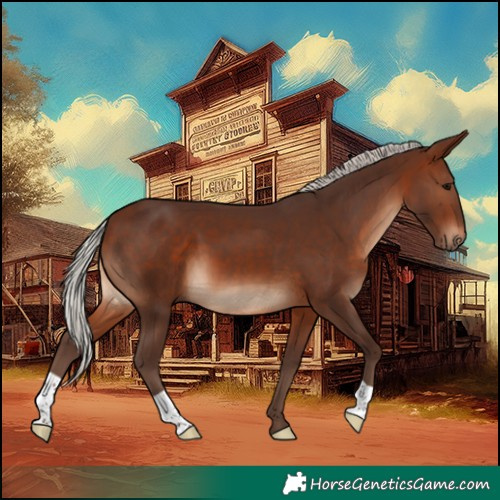 Horse Color:Silver Brown 
