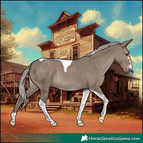 Horse Color:Silver Grullo Tobiano 