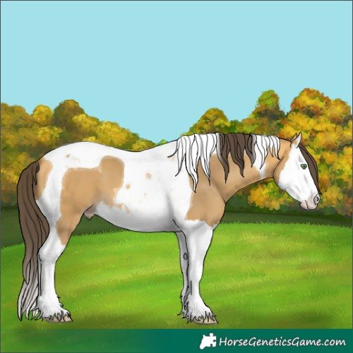 Horse Color:Sable Cream Champagne Splash Tobiano 
