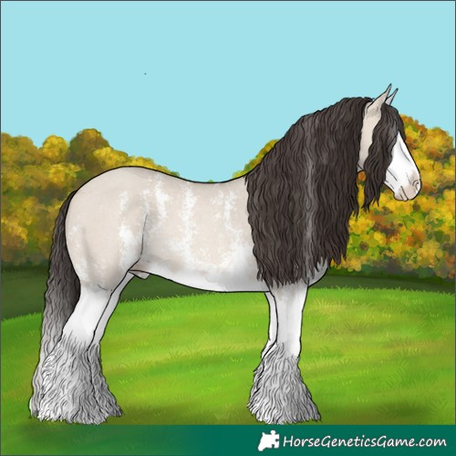 Horse Color:Sable Champagne Dun Sabino Splash Rabicano