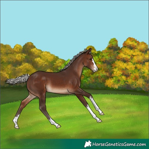 Horse Color:Silver Brown
