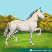 Horse Color:Smoky Creme 