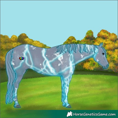 Horse Color:Thunderstruck Watercolor White Spotted Smoky Black