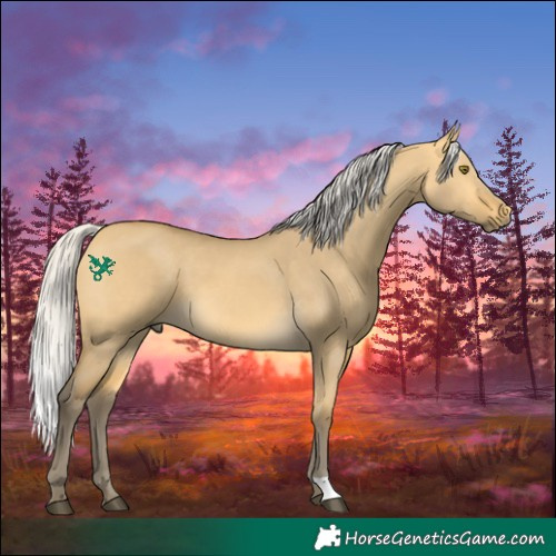 Horse Color:Silver Buckskin Dun Mushroom