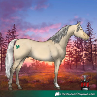 Horse Color:Silver Buckskin Dun Mushroom 