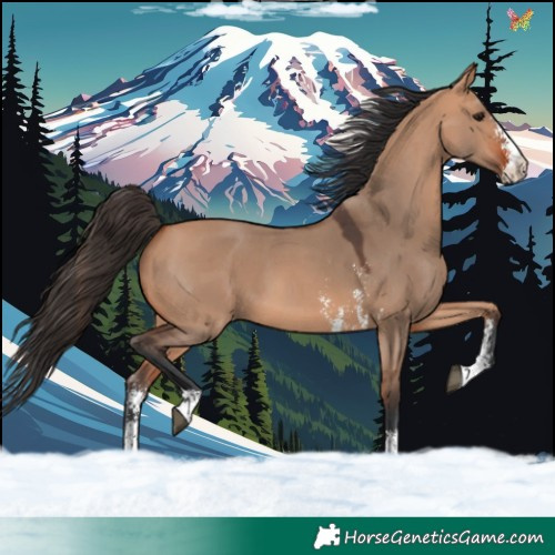 Horse Color:Bay Dun Sabino 