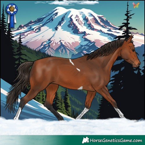 Horse Color:Bay Tobiano 
