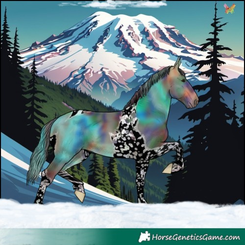 Horse Color:Nacre Buckskin Tobiano 