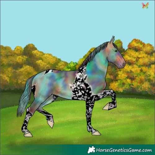 Horse Color:Nacre Buckskin Tobiano 