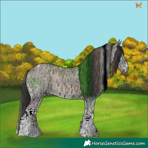 Horse Color:Plaid Smoky Grullo Ice Onyx Tobiano