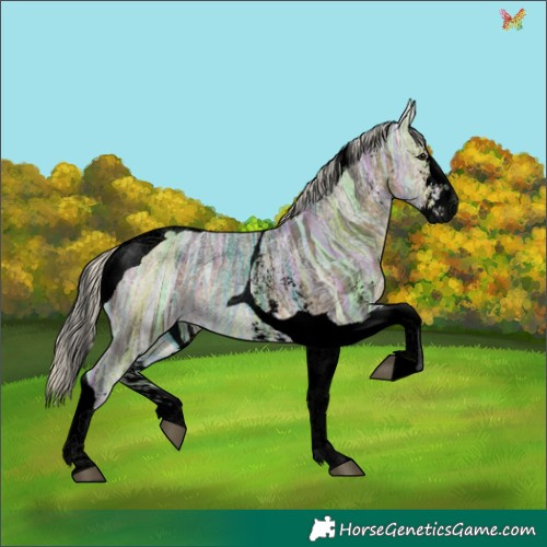 Horse Color:Void Plaid  Silver Buckskin Ice Sabino Tobiano 