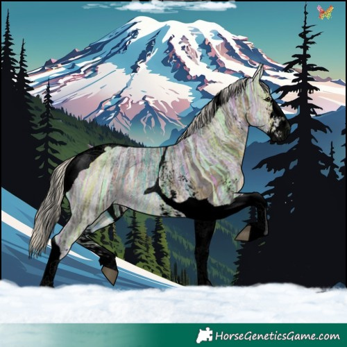 Horse Color:Void Plaid  Silver Buckskin Ice Sabino Tobiano 