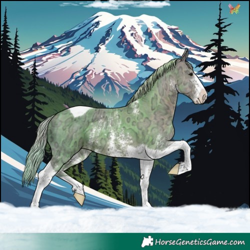 Horse Color:Plaid  Silver Black Ice Sabino Tobiano 