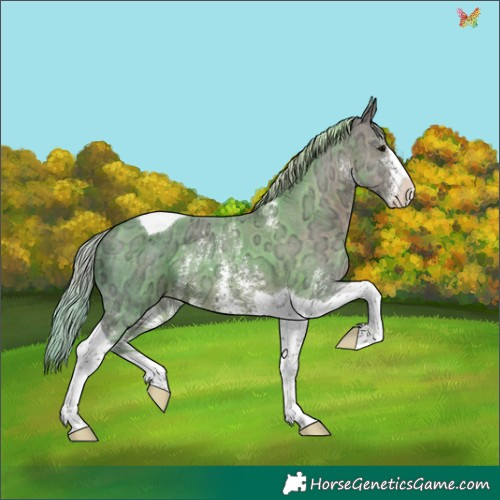 Horse Color:Plaid  Silver Black Ice Sabino Tobiano 