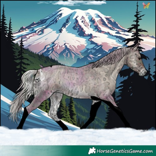 Horse Color:Plaid  Silver Blue Onyx Ice Roan Tobiano 