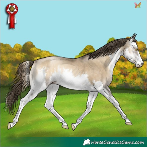 Horse Color:White Spotted Smoky Blue Onyx Pearl 