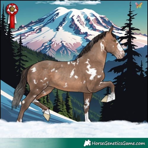 Horse Color:White Spotted Sable Champagne 