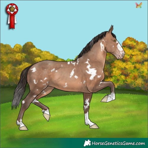 Horse Color:White Spotted Sable Champagne 
