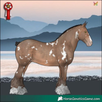 Horse Color:White Spotted Sable Champagne 