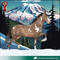 Horse Color:White Spotted Sable Champagne 