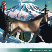 Horse Color:Brown Onyx