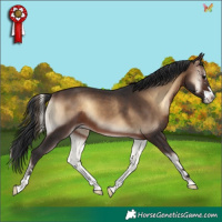 Horse Color:Brown Onyx