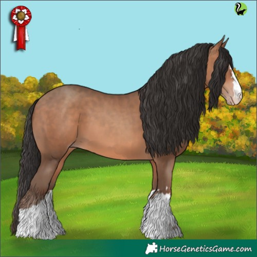 Horse Color:Sable Champagne