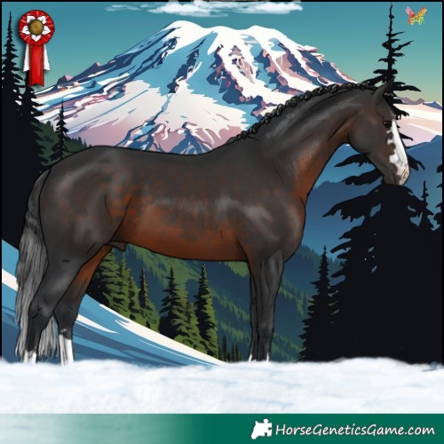 Horse Color:Brown 