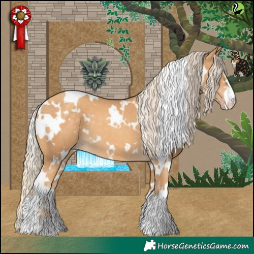 Horse Color:White Spotted Gold Cream Champagne 