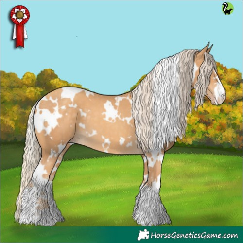 Horse Color:White Spotted Gold Cream Champagne