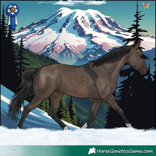 Horse Color:Brown Dun Tobiano 