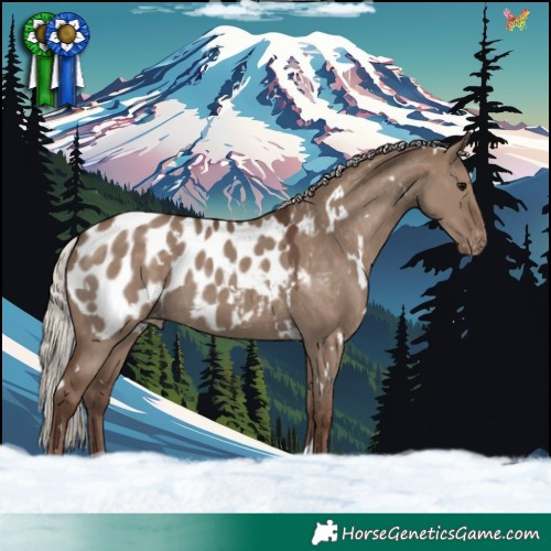 Horse Color:White Spotted Silver Grullo Blanket 