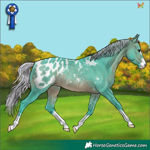 Horse Color:Watercolor Silver Brown Appaloosa Rabicano