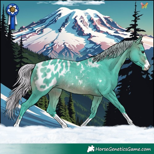 Horse Color:Watercolor Silver Brown Appaloosa Rabicano 