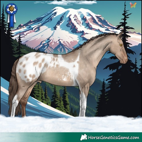 Horse Color:Sable Champagne Dun Tobiano Appaloosa Rabicano 