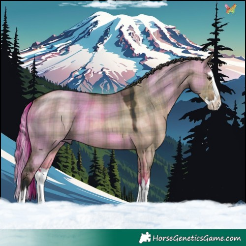Horse Color:Plaid  Brown Dun Splash 
