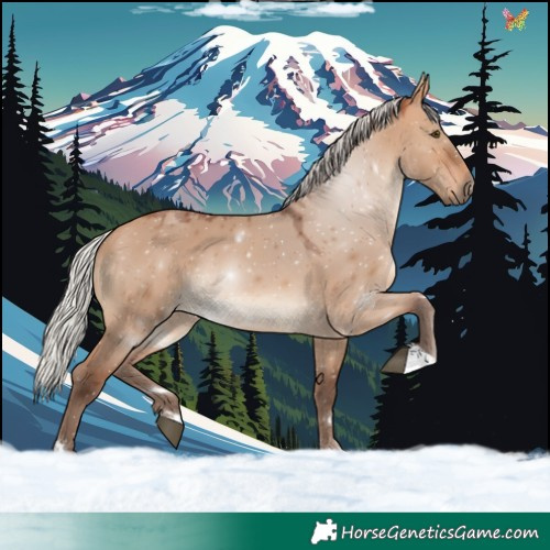 Horse Color:Silver Bay Dun 