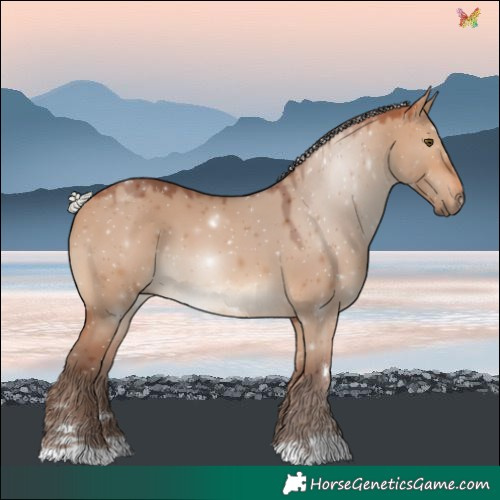 Horse Color:Silver Bay Dun 