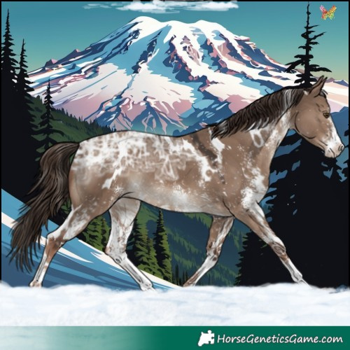 Horse Color:White Spotted Liver Red Dun Ice 