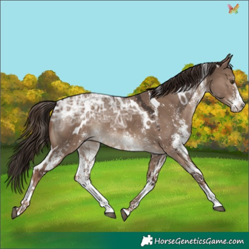 Horse Color:White Spotted Liver Red Dun Ice 