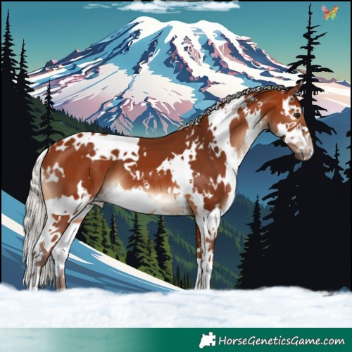 Horse Color:White Spotted Silver Bay Splash 